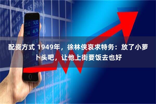 配资方式 1949年,徐林侠哀求特务:放了小萝卜头吧,让他上街要饭去也好