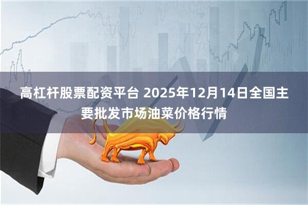 高杠杆股票配资平台 2025年12月14日全国主要批发市场油菜价格行情