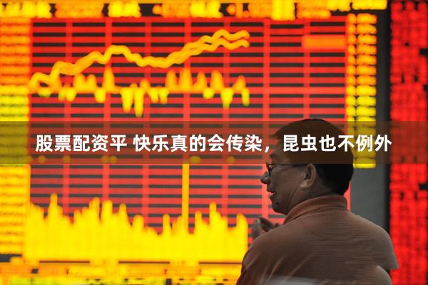 股票配资平 快乐真的会传染,昆虫也不例外