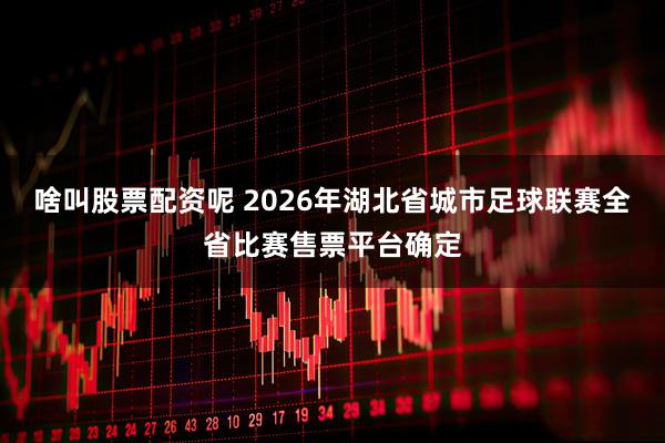 啥叫股票配资呢 2026年湖北省城市足球联赛全省比赛售票平台确定